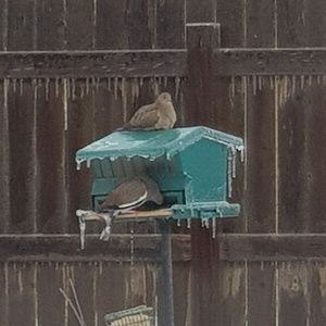 Meet your Posher, Terri